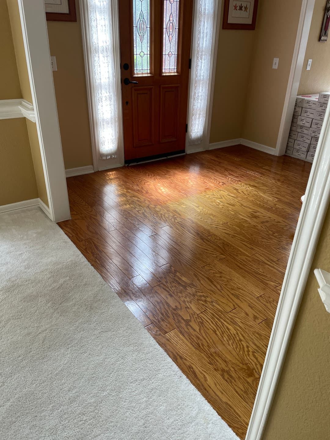 Welcoming entryway with wood flooring, cream carpet, and a double door with glass panels.